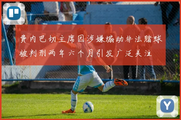 费内巴切主席因涉嫌煽动非法赌球被判刑两年六个月引发广泛关注